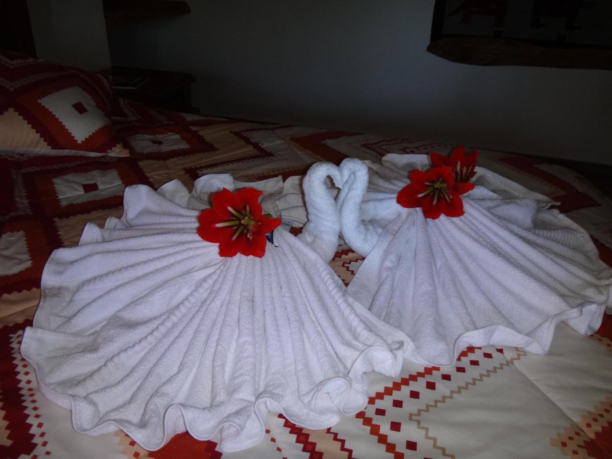 Zaysant Ecolodge Puembo 객실 사진