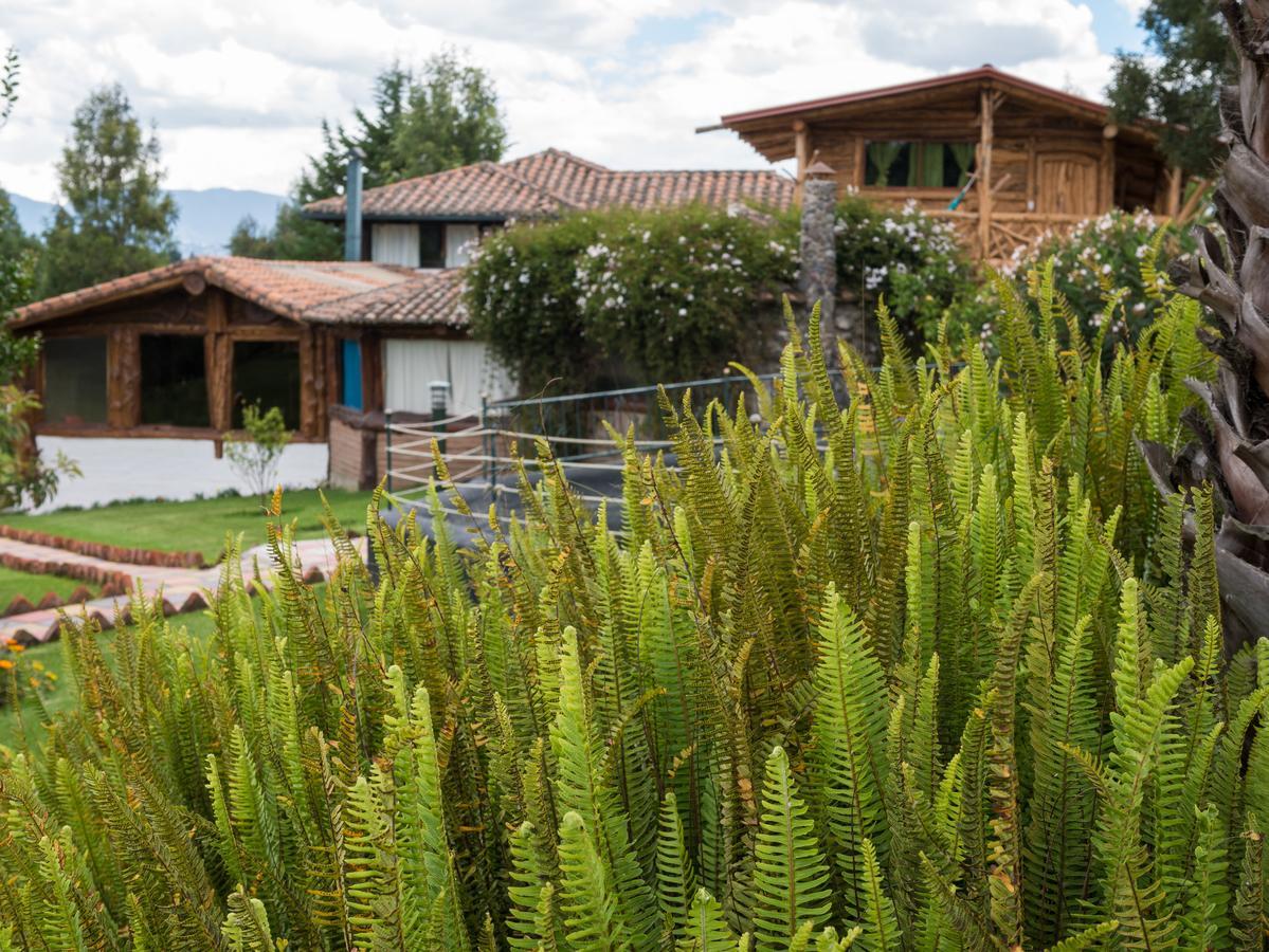 Zaysant Ecolodge Puembo 외부 사진