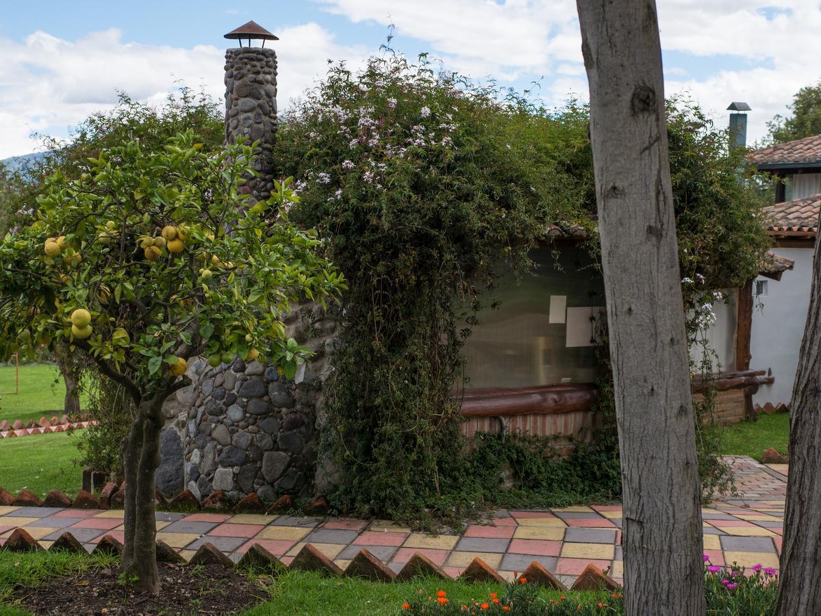 Zaysant Ecolodge Puembo 외부 사진